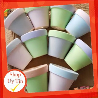 Chậu lùn sơn 2 màu |FREESHIP  SIÊU XINH | LỖI 1 ĐỔI 1