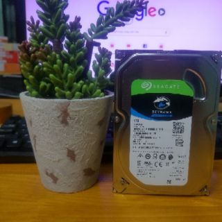 Ổ cứng HDD Seagate Skyhawk 1TB 3.5'' ST1000VX005 (Chuyên dụng cho Camera) - Hàng chính hãng