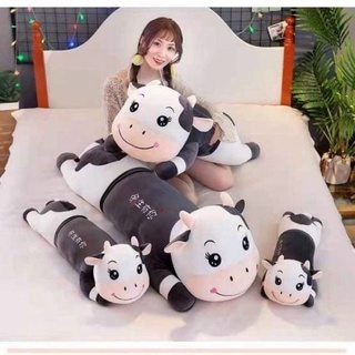 Gấu bông trâu nằm