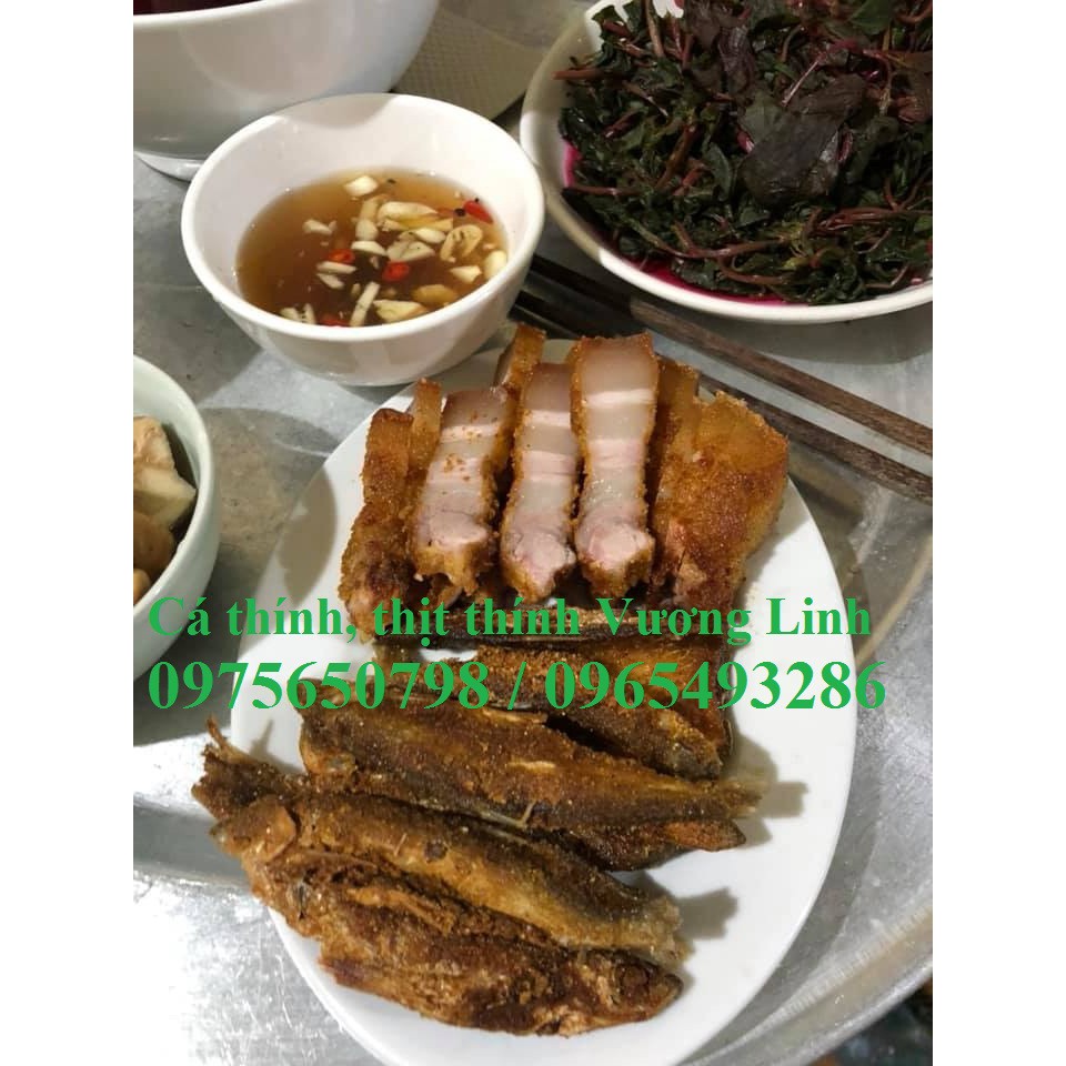 Cá Mương sông thính (cá thính Lập Thạch, tỉnh Vĩnh Phúc)