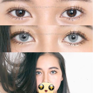 Lens cận 1-6 độ xám khói Vassen Hàn Sexyme