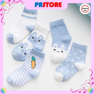 Set 5 đôi tất, vớ cao cổ cho bé từ 1-9 tuổi sợi bông nguyên chất hàng cao cấp không xù