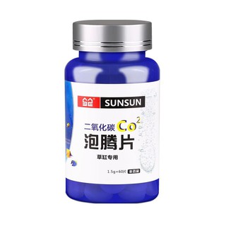 Viên Sủi CO2 SunSun ( 1 Hộp 60v)