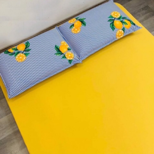 Drap thun siêu lạnh phối ( nhiều mẫu)