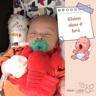 Ti ngậm Nookums chính hãng từ Mỹ 3032