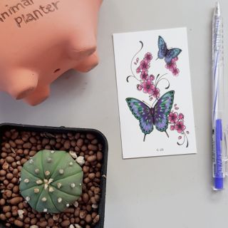 Hình xăm tattoo bướm c29.Xăm dán tatoo mini tạm thời, size <10x6cm