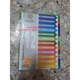 1 Bộ 12 tờ Chia file nhựa 12 màu TL, có đánh số - Chia file 12 - Phân trang