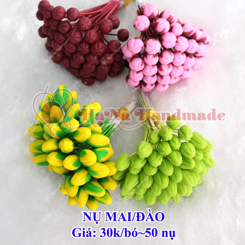 Nụ hoa mai/ đào bó 50 cái