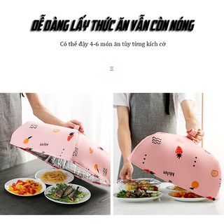 Lồng Bàn Đậy Và Giữ Nhiệt Thức Ăn Gấp Gọn Cao Cấp 50x50x15cm