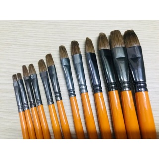 BỘ CỌ LÔNG MỀM CÁN VÀNG 12 CÂY
