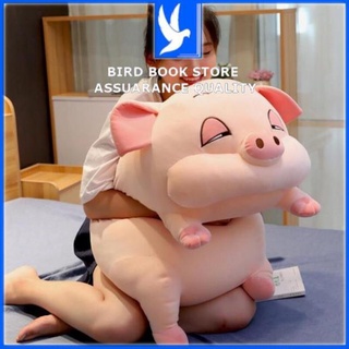 Gấu bông gối ôm ngủ Heo phê cần mắt híp chất liệu vải nhung hàn quốc Bird book