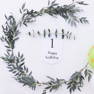 Dây lá bạch đàn, dây lá olive, dây lá táo decor trang trí sinh nhật, sự kiện, khai trương, phòng cưới