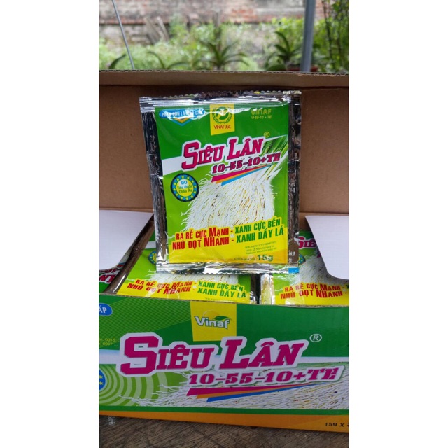Siêu Lân 10-55-10-TE