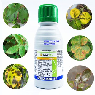 Thuốc Trừ Bệnh ANVIL 5SC (Chai 100ml) - Sạch Nấm Bệnh cho hoa hồng,mai vàng, bonsai...