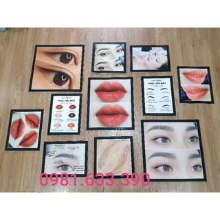 BỘ 11 FOMEX SIZE LỚN: TRANH SPA, TRANH PHUN XĂM, NAIL...TẶNG KÈM BĂNG DÍNH