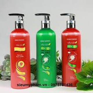Dầu gội dược liệu Thái Dương 3 - 1100ml và 480ml