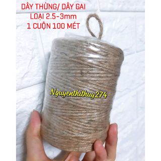 Lẻ 10m, 30m, 50m Dây Thừng / Dây Gai 2 Loại Size ( HÌNH THẬT TỰ CHỤP )
