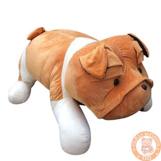 Gấu Bông ,Chó bông pitpun 60cm hàn