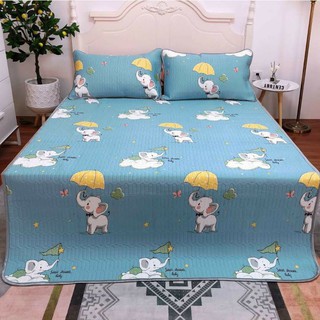 Chiếu điều hòa tencel cao su non nhập khẩu