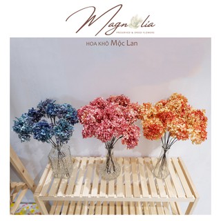 Hoa khô ❤️FREESHIP❤️ Hoa Cẩm Tú Cầu khô nhiều màu đẹp mê mẩn (phần 5gr)