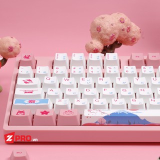 [Mã ELMS05 giảm 5% đơn 300K] Bàn phím cơ AKKO 3108 World Tour Tokyo R2 - Akko Switch