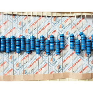 [Combo 20 chiếc] Điện trở vạch màu 0.2R 2W