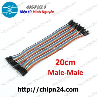[20 SỢI] Dây Cắm Test Board 20cm Đực-Đực