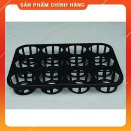 COMBO 5 KHAY ĐẶT LAN 12 LỖ