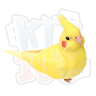 Mô hình giấy động vật Vẹt xám Úc ver 2