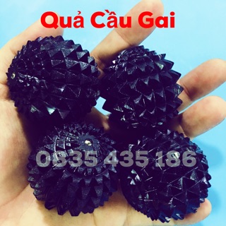 Quả Cầu Gai - Dụng Cụ Diện Chẩn