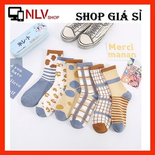 Tất Nam Nữ Unisex Cổ Cao Họa Tiết Bánh Quy Dễ Thương