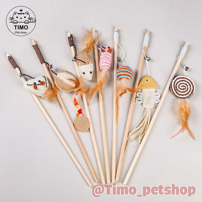 Cây Vợt Mèo