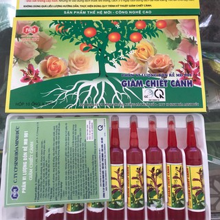 GIÂM CHIẾT CÀNH MINH ĐỨC HỘP 10 LỌ, 10ML/LỌ
