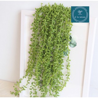 Dây lá chuỗi ngọc màu xanh dài 78cm dùng trong thiết kế hoa, hoa trang trí nhà cửa