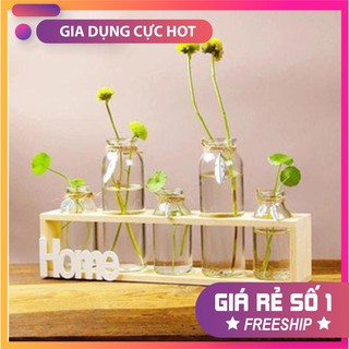 Sét 5 lọ hoa thuỷ tinh kèm kệ gỗ