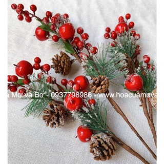 Cành Đào Đông Cherry Merber (Mơ &amp; Bơ) Loại Cành Quả Bông Gòn /Thông - Cành Khô Trang Trí Decor Giáng Sinh, Noel, Năm Mới