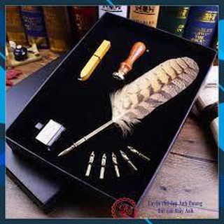 Bút luyện chữ đẹp Bút lông ngỗng The writing collection