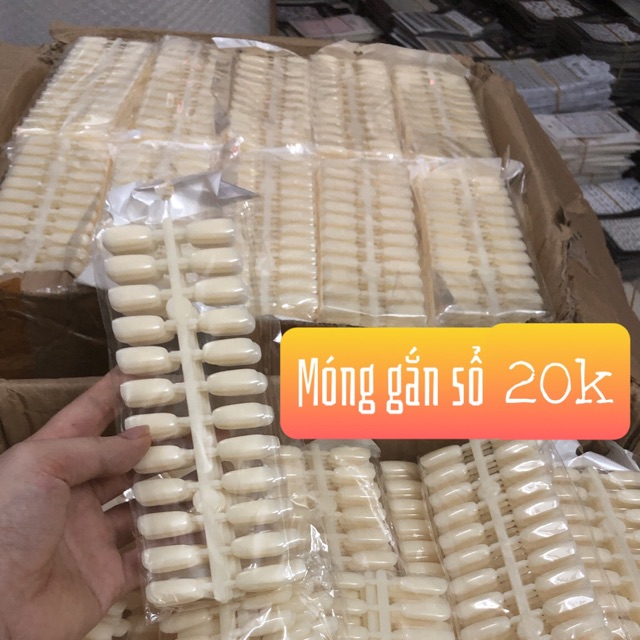 Móng gắn sổ bảng màu