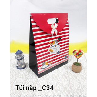 10 túi giấy nắp nơ xinh 28x37 hông 13.5cm