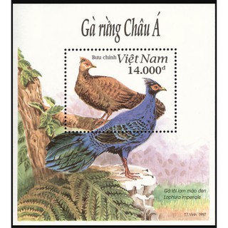 Tem sưu tập MS 767 Block Tem Việt Nam Gà rừng Châu á 1997