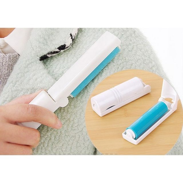 Cây lăn bụi mini