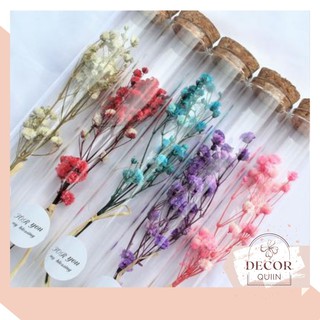 Quà lưu niệm❤️Lọ điều ước❤️thủy tinh các loại hoa khô hoa hồng hoa baby khô kèm hộp tặng sinh nhật quà tặng độc đáo