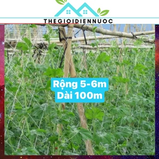 Combo 1 cuộn 100m lưới làm giàn cho cây leo khổ rộng 5m (6m nếu kéo căng), lưới làm giàn bí, giàn bầu, độ bền cao