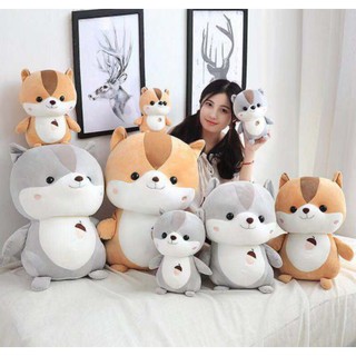 hamster bông sóc chuột cầm hạt G25B22 cute dễ thương 25cm