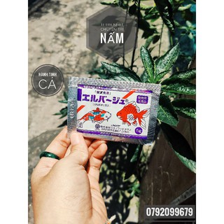 Tetra Nhật chuyên trị NẤM, NHIỄM TRÙNG hoặc DƯỠNG CÁ