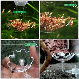 Chén cho tép ăn bằng mica trong suốt hình bông hoa