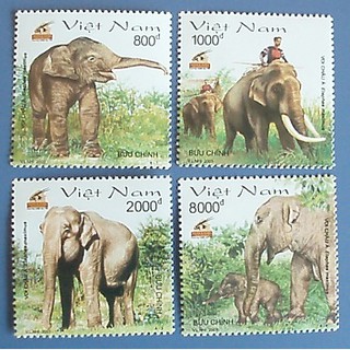 Tem sưu tập MS 913 Tem Việt Nam Voi Châu Á 2003 ( 4 tem)