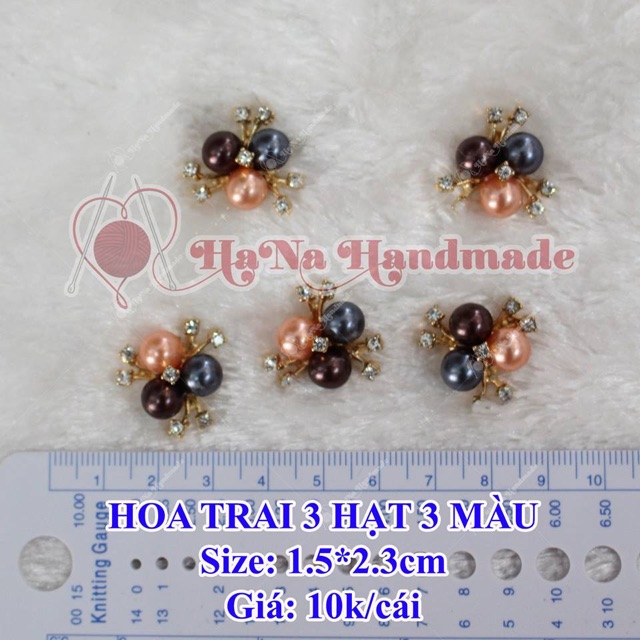 Hoa trai 3 hạt