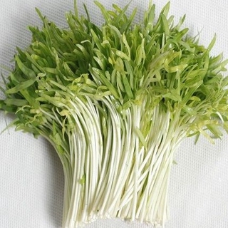 100g Hạt Giống Mầm Rau Muống