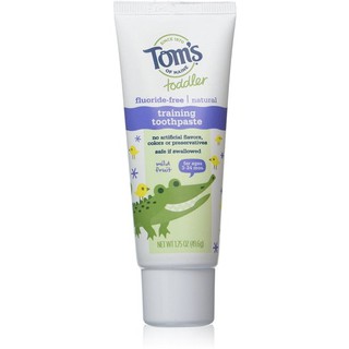 Kem đánh răng Tom's of Maine Toddlers Fluoride-Free Natural Toothpaste Dành cho trẻ từ 3 đến 24 tháng  - USA